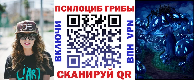 hydra ONION  Рассказово  Псилоцибиновые грибы Psilocybe 